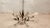 Stilnovo chandelier, 50s, each arm uses two light points that reflect on molated crystals. The crystals are perfect. I...