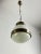 Mid-Century Modern Model Delta Pendant Light by Sergio Mazza for Artemide, 1960s For Sale - Image 12 of 12