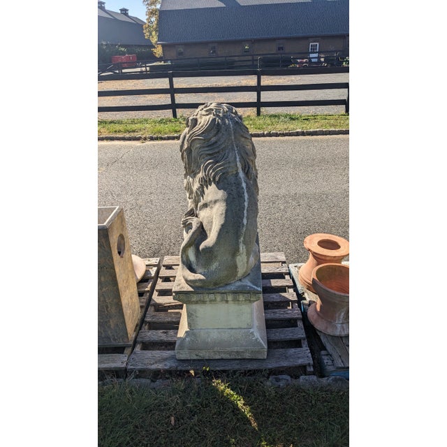 Sculpture Materials Mid 20th Century Concrete Seated Lion & Cub Statue on Plinth For Sale - Image 7 of 12