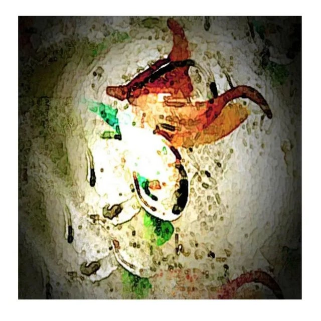 Painted Phoenix by Thon For Sale - Image 3 of 4