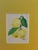 2020s Watercolor Painting of Lemons by Elizabeth Berry For Sale - Image 5 of 5