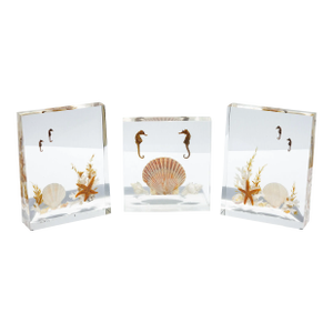 Lucite Sea Life Specimen Sculptures Mid Century Modern