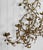 Metal Vintage 47" Italian Rococo Gold Gilded Floral Vine Wall Hanging Candle Sconce For Sale - Image 7 of 9