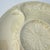 20th Century Gien Majolica Earthenware Artichoke Plates- Set of 4 For Sale - Image 10 of 13