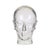 Glass Heavy Glass Head Display Mannequin for Headphones, 1960s For Sale - Image 7 of 16
