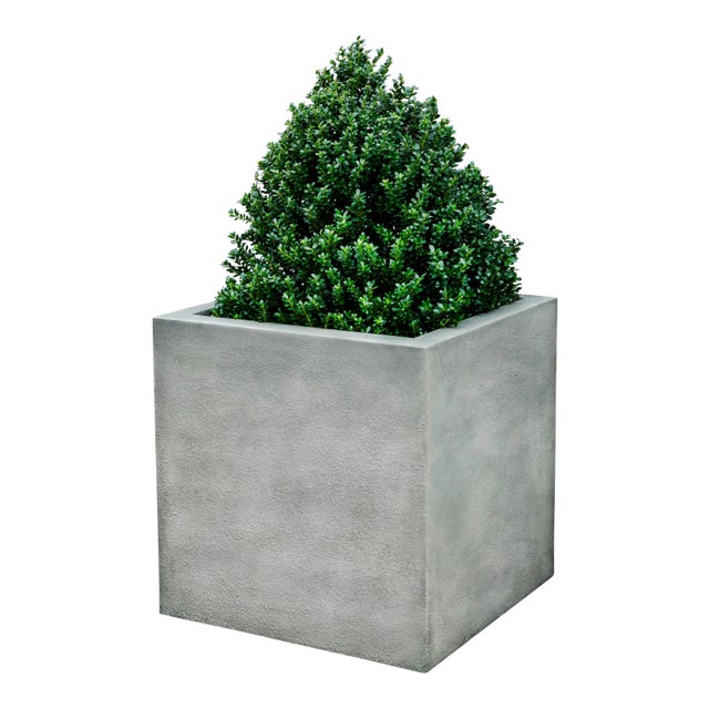 Metropolis Cube Planter, 48x48 For Sale