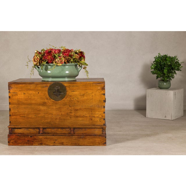 19th Century 19th Century Large Late Qing Dynasty Elm Blanket Chest with Brass Hardware and Warm Patina For Sale - Image 5 of 12