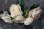 "Roses I" is an oil on panel painting by Jon Doran, completed in 2026. White roses are laid across a grey background in...