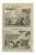 Pieter Mortier, Fire Consumes Aaron's Offering and Death of Nadab and Abihu, 1700, Engraving For Sale