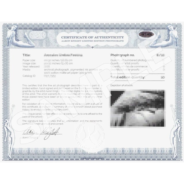 Contemporary Limited Edition Art Photograph | Signed Original 40×60 Inches/102×152 Cm Nude Woman For Sale - Image 3 of 3