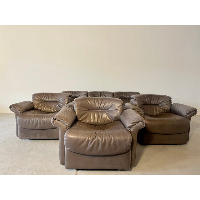 DS14 Armchair from de Sede For Sale - Image 4 of 9