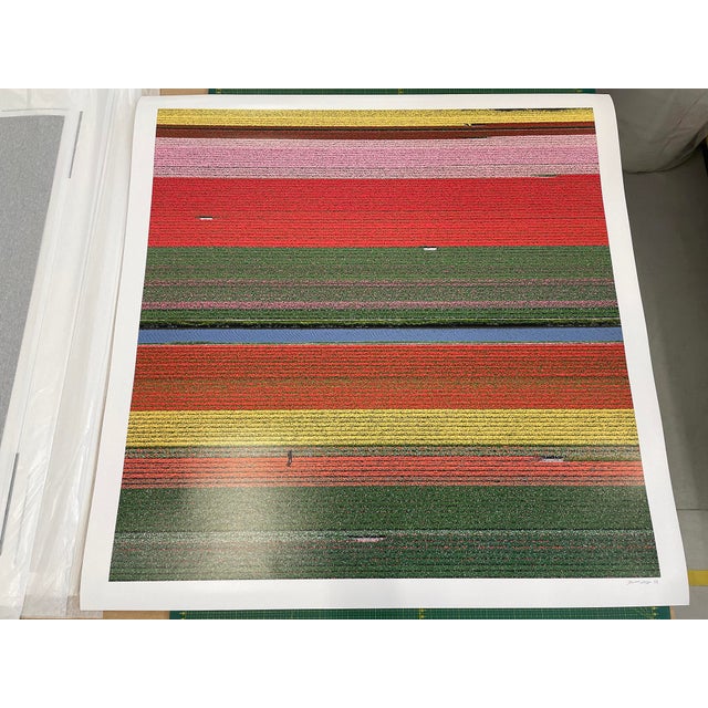 "AV_Tulip_Fields_036" Contemporary Aerial View Limited Edition Photograph by Bernhard Lang For Sale - Image 10 of 13