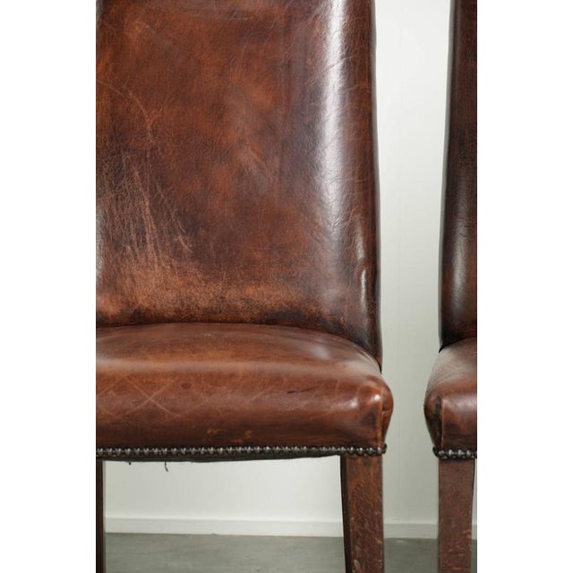 Vintage Sheepskin Dining Chairs, Set of 5 For Sale - Image 15 of 18