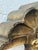Shell Antique Shell Wall Architectural Piece For Sale - Image 7 of 8