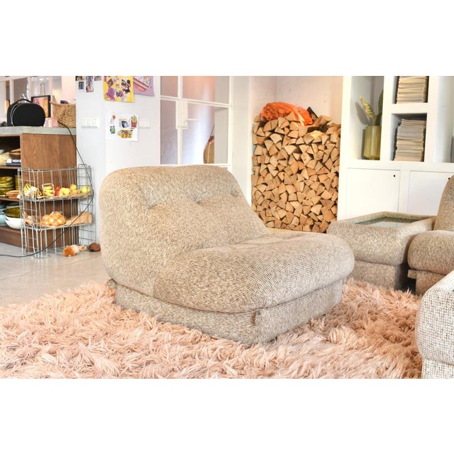 Nuvolone Lounge Chairs by Rino Maturi for Mimo Padova, Italy, 1970, Set of 2 For Sale - Image 3 of 18