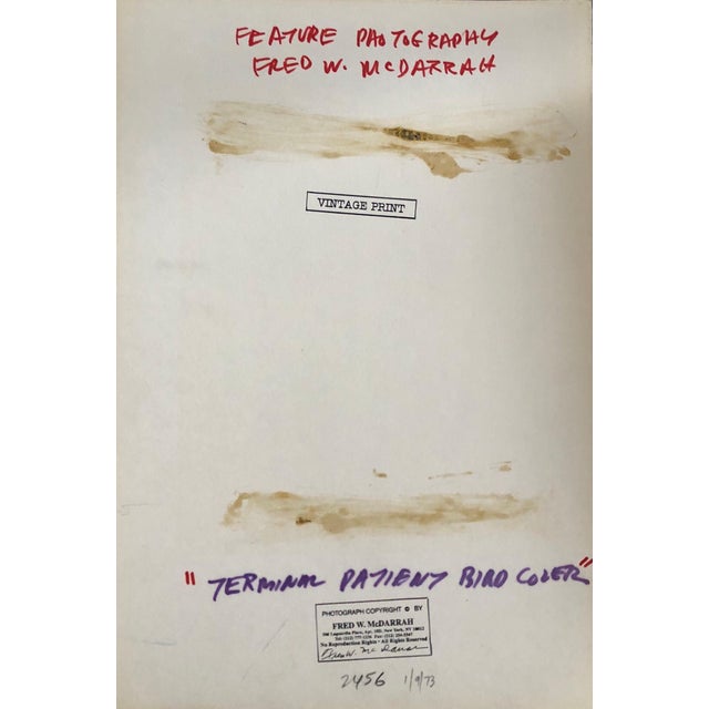 Modern Fred McDarrah, Large Vintage Print Silver Gelatin Signed Photograph Terminal Patient Bird Cover, 1973 For Sale - Image 3 of 8
