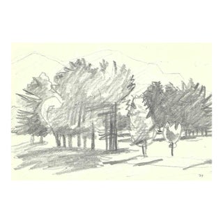 1977 Robert Angeloch Mountain Valley Landscape Drawing For Sale