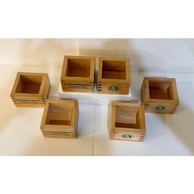 1980s 1983 Tokyo Japan XII World Congress of Pathology Wooden Masu Cups — Set of 6 For Sale - Image 5 of 8