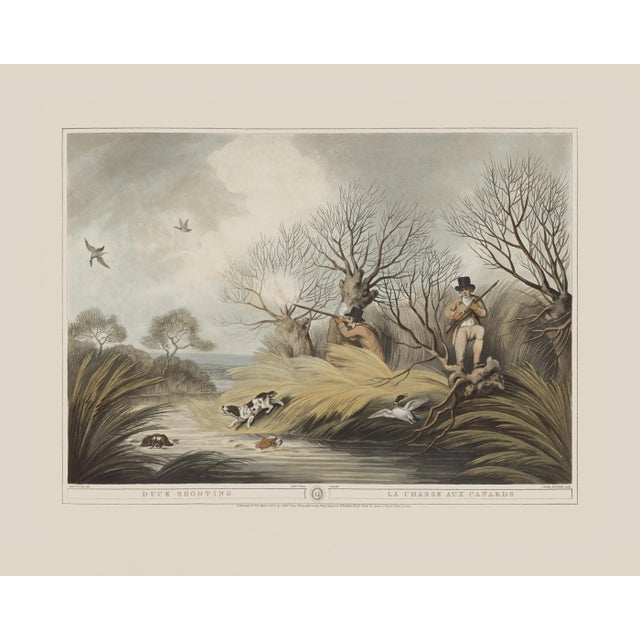 Duck Shooting- Giclee Print From British Field Sports For Sale