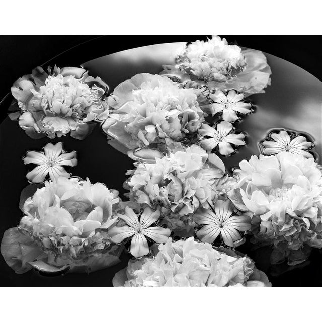 Ugne Pouwell, Summer Solstice, 2024, Photography For Sale - Image 6 of 6