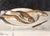 Edouard Arthur, Freshwater Fish on a White Plate, Oil on Canvas For Sale - Image 11 of 11