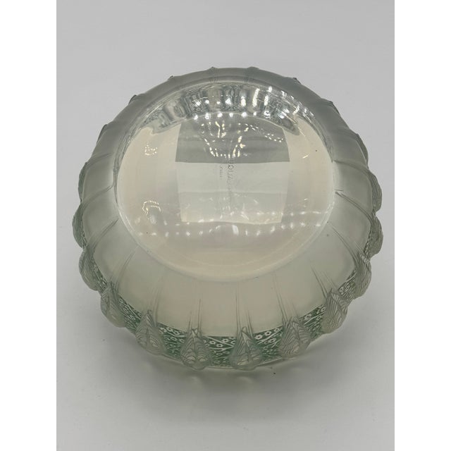 Perruche Bowl by R. Lalique, 1931 For Sale - Image 9 of 10