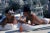 Sunbathing In Antibes 1976 by Slim Aarons Slim Aarons Limited Estate Edition Dani Geneux (left) and Marie-Eugenie Gaudfrin...