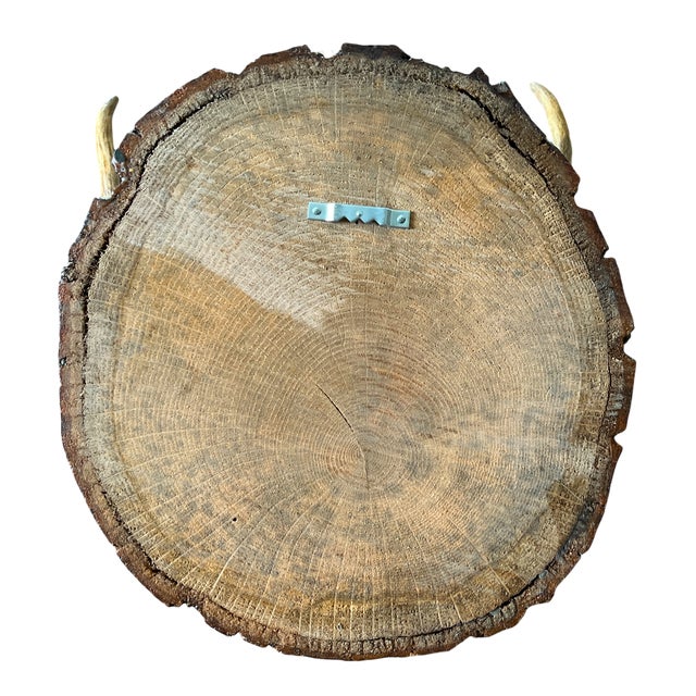 Vintage Mounted Deer Antlers on Live-Edge Wood Plaque For Sale - Image 10 of 10