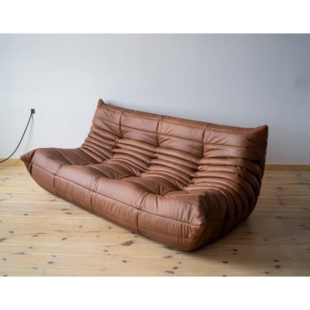 Brown Leather Togo Living Room Set by Michel Ducaroy for Ligne Roset, Set of 5 For Sale - Image 5 of 18