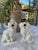 A charming pair of Staffordshire-style porcelain spaniel figurines featuring expressive faces, flowing coats, and hand-...