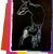 Contemporary 1986 Andy Warhol Okapi Vanishing Animals For Sale - Image 3 of 3