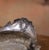 Metal 19th Century French Louis XV Rococo Silvered Oval Table Jardinière With Cherubs For Sale - Image 7 of 10