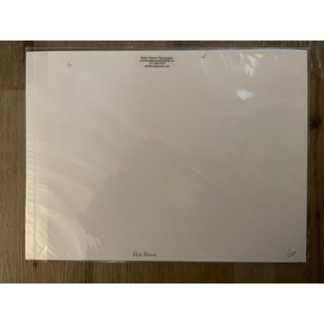 Lot of 3 New Orginal Color Matted Unique Photographs Signed by Robin Rebeck For Sale - Image 9 of 15