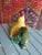 From a collection of Mother in laws. a very sweet Vintage Fitz and Floyd Rooster T-pot in Excellent condition. no chips or...