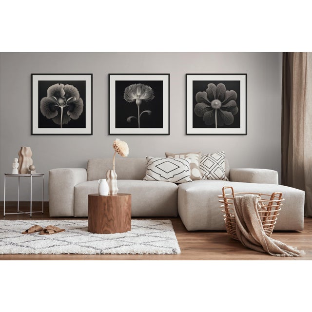 Contemporary 20' X 20' - 'Kalmia Augustifolia' Flower - Black and White Limited Edition Botanical Photography Print, Unframed For Sale - Image 3 of 3