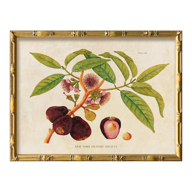 Reproduction Giclee Print of Vintage Fruit & Flowers (3) Art Print, Framed For Sale