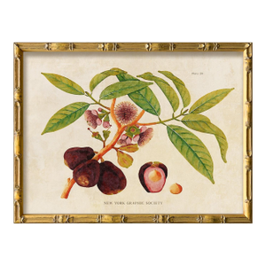 Reproduction Giclee Print of Vintage Fruit & Flowers (3) Art Print, Framed
