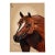 Hand-Painted Equestrian Horse Portrait on Board, Signed B. My, Mid-Century For Sale