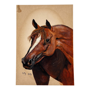 Hand-Painted Equestrian Horse Portrait on Board, Signed B. My, Mid-Century