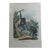 Antique Monkey Hand Colored Lithograph, Large Size, Italy, 1868 For Sale