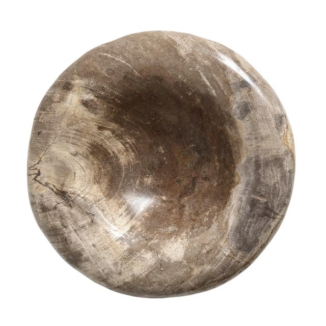 Contemporary Vintage Petrified Wood Organic Modern Decorative Bowl For Sale - Image 3 of 8