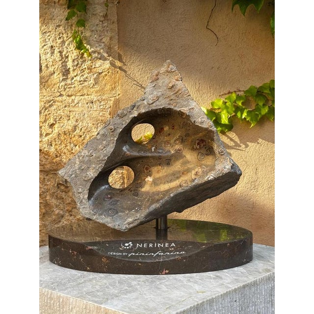 Unique infinite rock in jurassic fossil stone by nerinea. Dimensions: w 39 x d 22 x h 32 cm. Materials: natural stone...