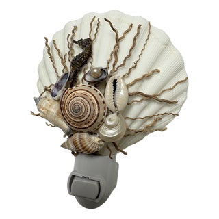 Natural Beach House Seashell Adorned Nightlight For Sale