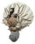 Natural Beach House Seashell Adorned Nightlight For Sale