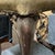 19th Century French Stool For Sale - Image 11 of 12