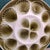 Vintage French Oyster Tray from Moulin des Loups, 1970s For Sale - Image 3 of 6