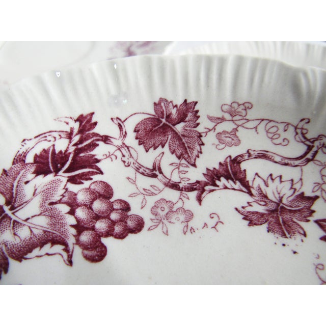 Vintage "Old Vine" Wedgwood Etruria & Barlaston England Set of Saucers 10 For Sale - Image 10 of 11