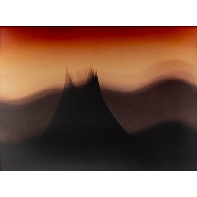 Anne Sager (American, 1930-2024), "Burma", Photogram, 1996, with Arlene Bujese Gallery descriptive label to verso,...