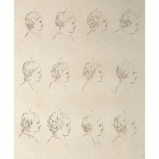 The profiles of men and women is an original etching artwork realized by Thomas Holloway for Johann Caspar Lavater's...