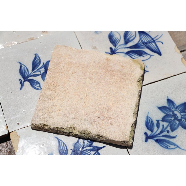 Antique 18th Century Portuguese Faience Tiles With Delicate Botanical Designs Set of 27 For Sale - Image 18 of 18